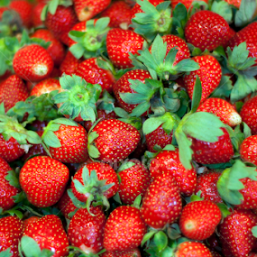 Philippine Strawberries by Noel Angeles - Food & Drink Fruits & Vegetables