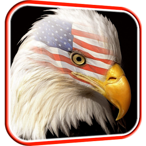 USA Eagle Live Wallpaper.apk 3.0