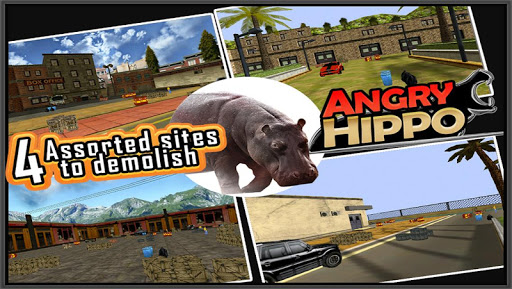 免費下載模擬APP|Angry Hippo ( 3D Game ) app開箱文|APP開箱王