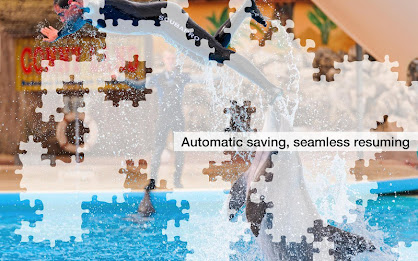 Dolphin Jigsaw Puzzles Demo poster 12