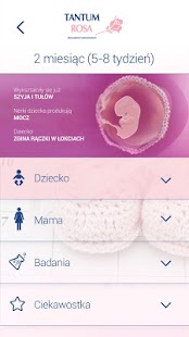 Tajemnica ciąży Screenshots 7