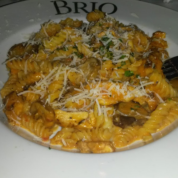 GF pasta brio