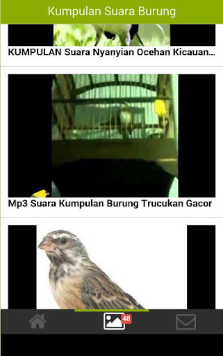 【免費娛樂App】Kicau Burung Juara-APP點子