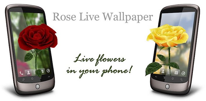 free download android full pro mediafire qvga 3D Rose Live Wallpaper APK v3.5 tablet armv6 apps themes games application