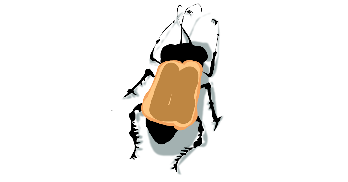 Some people are afraid of bread bugs