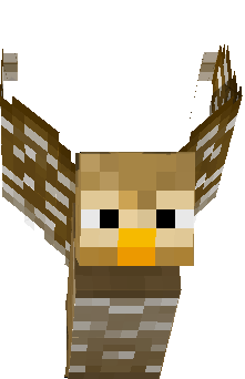 #owl  Nova Skin