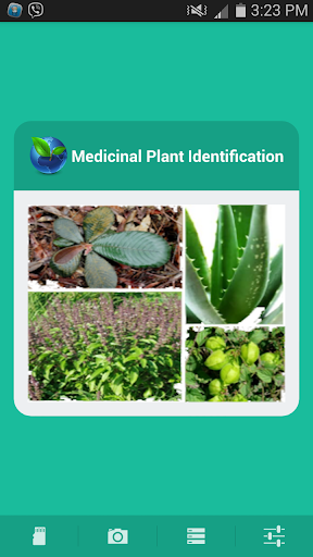 Medicinal Plant Identification