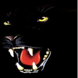 Panther Rush 1.0.8
