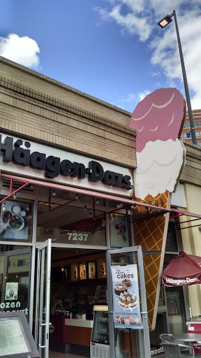 Haagen Dazs Giant Ice Cream