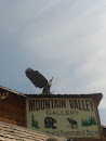Afton Eagle on Mountain Gallery
