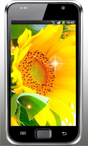 免費下載個人化APP|Sunflower Amazing HQ LWP app開箱文|APP開箱王
