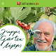 Garten App