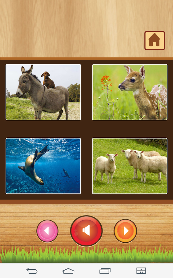 Animal sounds App for kids screenshot