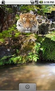 How to mod Tiger Head Sticker 1.0 mod apk for bluestacks