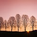3D tree and sun