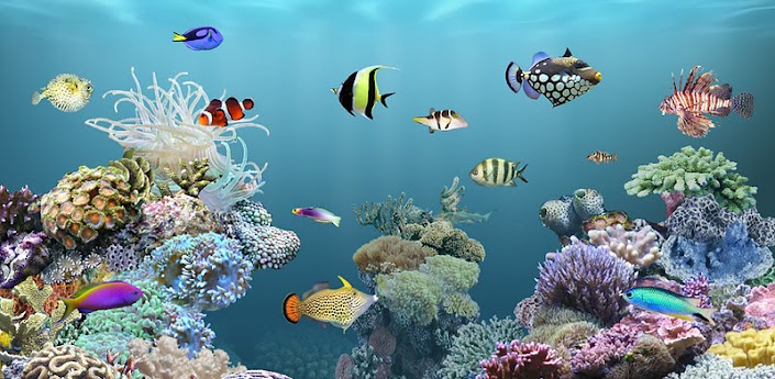 aniPet Aquarium LiveWallpaper