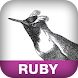 Ruby Programming Language