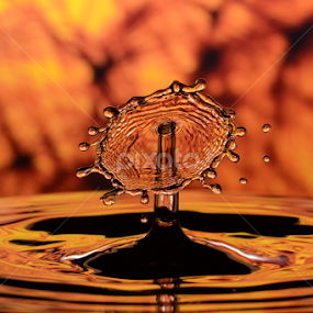 Water Droplet Collision by Micah Jaron Flack - Abstract Water Drops & Splashes