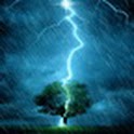 Thunderstorm On The Tree