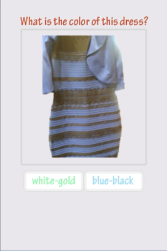 TheDress vote