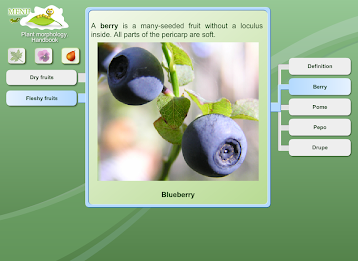 Biology - Plant Morphology poster 5