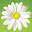 Bryn Mawr School Alumnae App Download on Windows