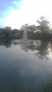 Fountain View Pond
