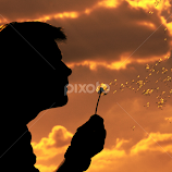 orange sunset by Nemanja Jerkov -  