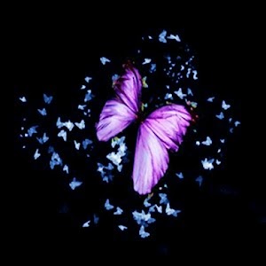 3D dancing butterfly A 1.0.1