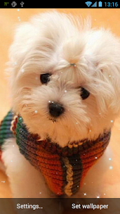 Puppy Live Wallpaper Screenshots 4