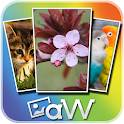 Wallpaper & Background Gallery logo
