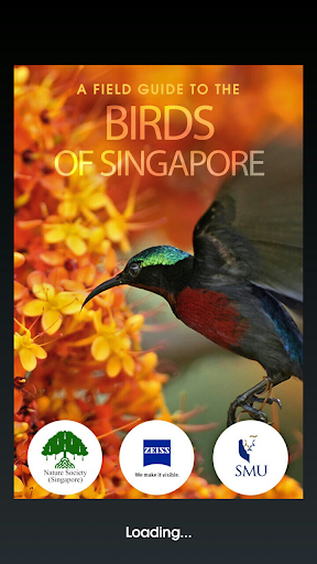 Birds of Singapore