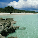 Limpid Landscapes Live wallpap logo