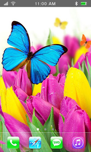 Flowers March 8 live wallpaper