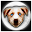 Fortune Teller Crystal Ball LT Download on Windows