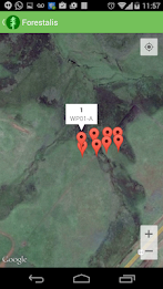 Forestalis Free poster 4