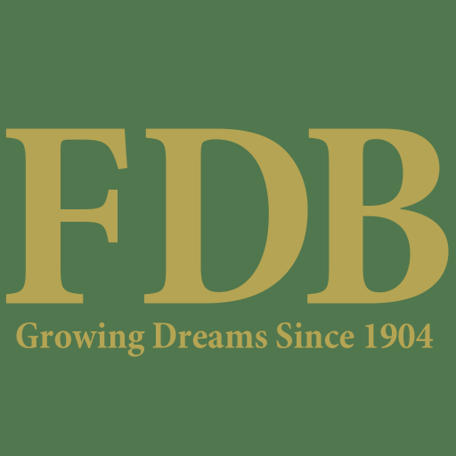 FDB Mobile Banking LOGO-APP點子