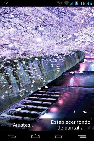 Live Wallpaper Sakura