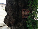 Face in the Tree
