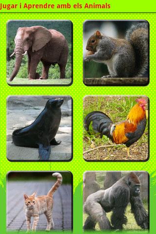 【免費教育App】Jugar i Aprendre: Animals-APP點子