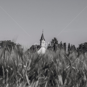 by Goran Lee - Instagram & Mobile iPhone