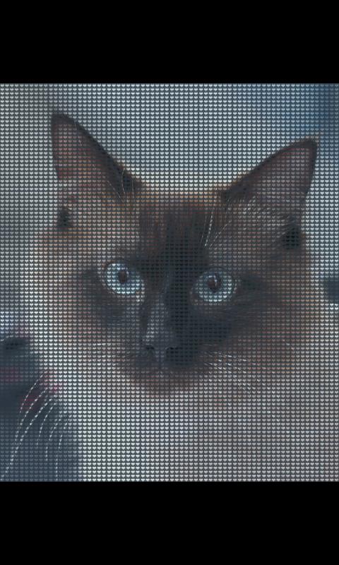 Photo Love PRO Screen 3