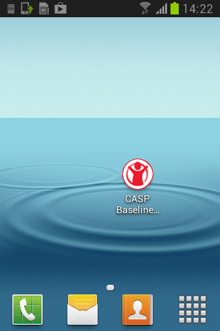 CASP Baseline Assessment