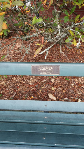 Lark Memorial Bench