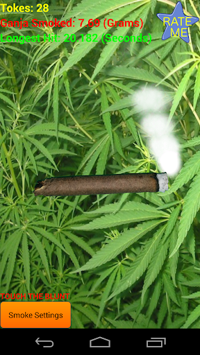 Smoke A Blunt - Smoke Weed 420