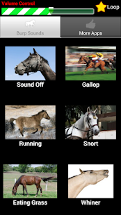 Horse Sounds