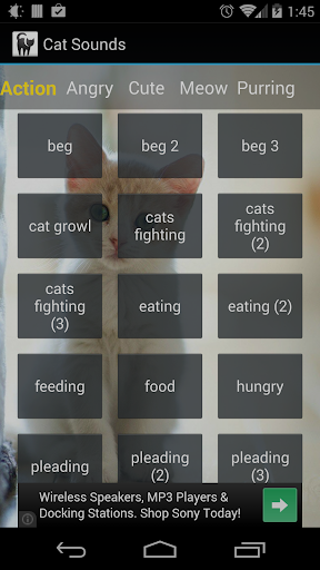 【免費音樂App】Cat Sounds-APP點子