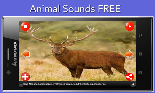 【免費教育App】Animal Sounds FREE-APP點子