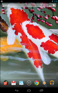 How to install Interactive Koi Fish 3D 6.0 unlimited apk for bluestacks
