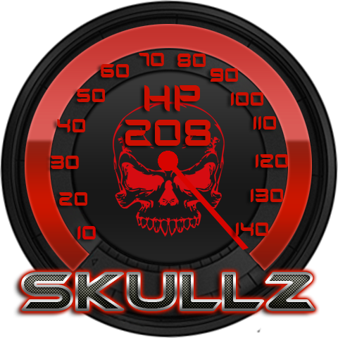 SkullZ Torque Theme OBD 2 Screen 2
